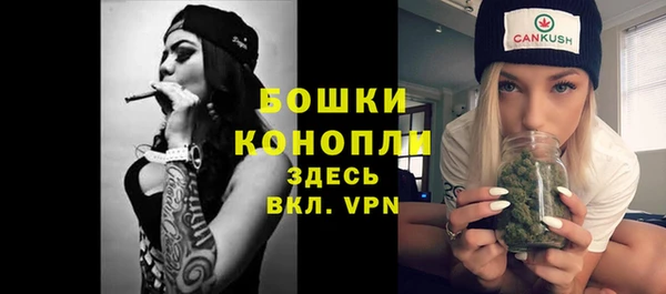 PSILOCYBIN Абаза