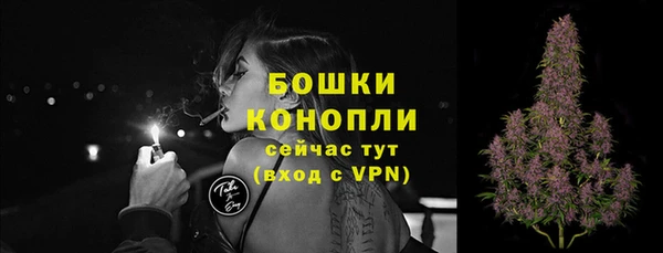 PSILOCYBIN Абаза