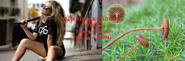соль курить ск Алзамай